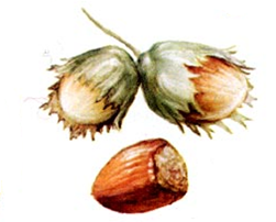 03002xu9-b763-251x202.png