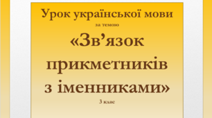 Презентація «Зв’язок прикметників з іменниками»