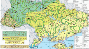 Рослинний та тваринний світ України
