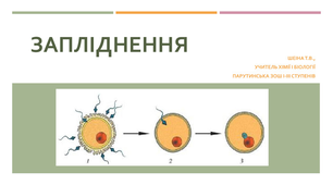 Презентація з біології "Запліднення"