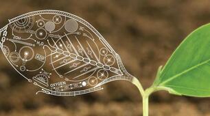 Біологія. Контрольна робота ІІ варіант