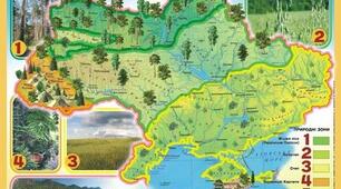 Природні зони України. Рослинний і тваринний світ мішаних лісів, лісостепу і степу