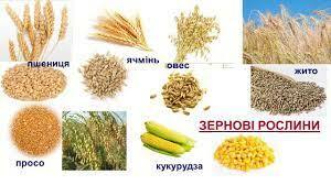 Тема: Різноманітність культурних рослин Зміст уроку І. Організаційни