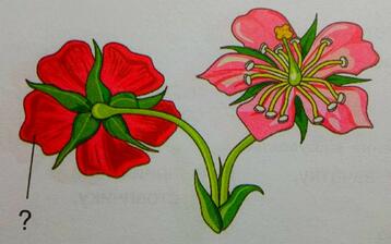 030034i5-ffdb-358x224.jpg