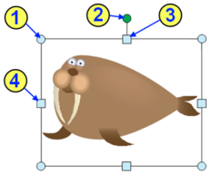 0300354m-cad0-349x290.png