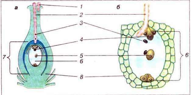 030035b8-8fb9-650x324.jpg
