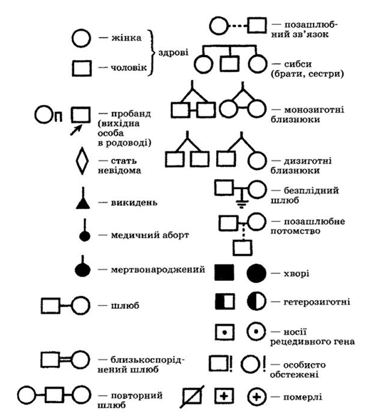 030035f1-0bcc-533x579.png