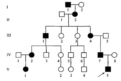 030035f6-54b9-467x314.png