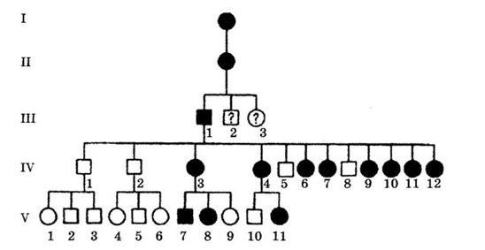 030035fe-e203-548x283.png