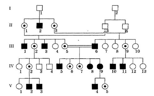 030035fk-dcbf-498x313.png