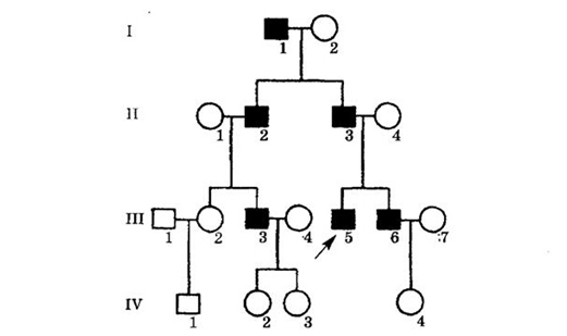030035fp-f8d3-521x309.png