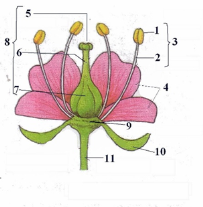 0300373e-4e44-286x292.png