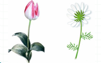 030037gl-b2c8-204x128.png