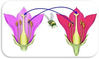 030038mo-256e-318x189.png