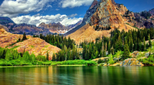 Unit 6. What Is Nature for You? Vocabulary.
