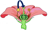 030039of-0d8b-205x125.png