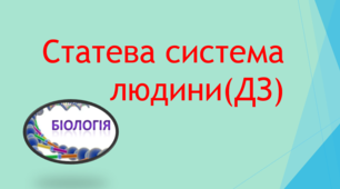 Статева система людини (ДЗ)
