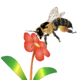 03003c4b-8ea5-269x269.png