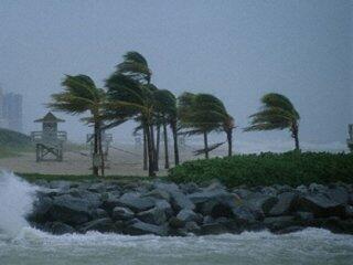 03003cg9-7e4c-320x240.jpg