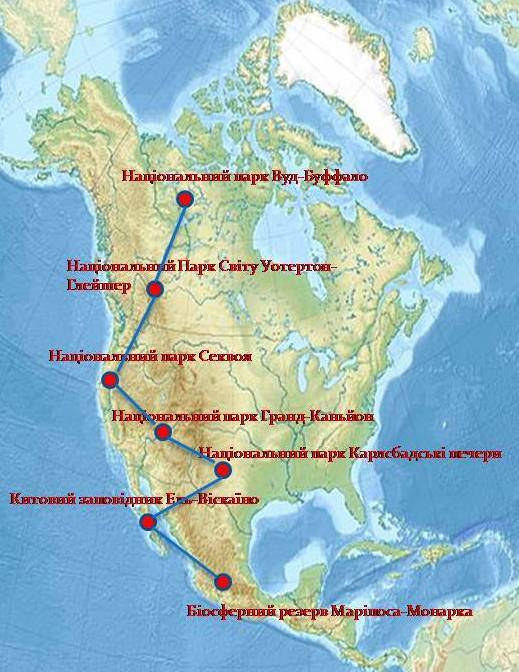 03003fcx-076e-519x672.jpg
