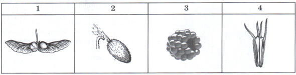 03003i0c-b5c4-590x150.jpg