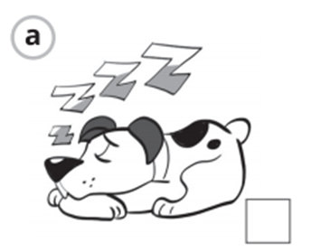 03003j3o-939a-344x279.png