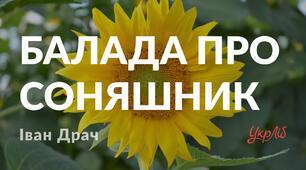 Іван Драч "Балада про соняшник"