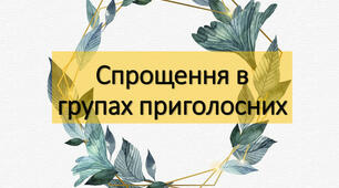 Спрощення приголосних НМТ