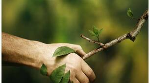 Nature and the environment 