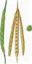 03003p67-d1c7-64x126.jpg