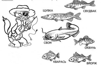 03003qux-967a-691x451.png