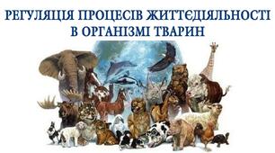 РЕГУЛЯЦІЯ ПРОЦЕСІВ ЖИТТЄДІЯЛЬНОСТІ В ОРГАНІЗМІ ТВАРИН