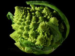 03003srt-19f0-146x110.png