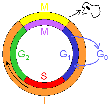 03003t0m-a18b-358x347.png