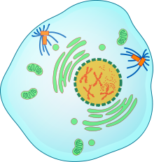 03003t1q-b5a4-220x232.png