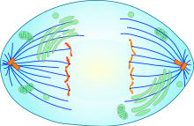 03003t23-d2fc-220x143.png