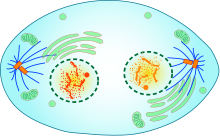 03003t2c-2f1f-220x136.png
