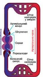 03003ukf-3e0a-151x271.jpg