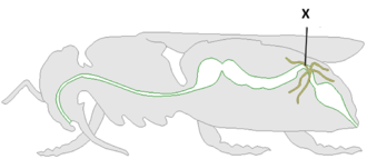 03003upy-815b-330x143.png