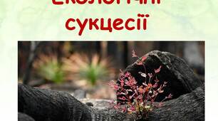 (Копія) Екологічні сукцесії як процеси саморозвитку екосистем