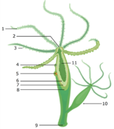 03003znx-4836-161x182.png