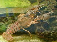 030047sw-427a-200x150.jpg