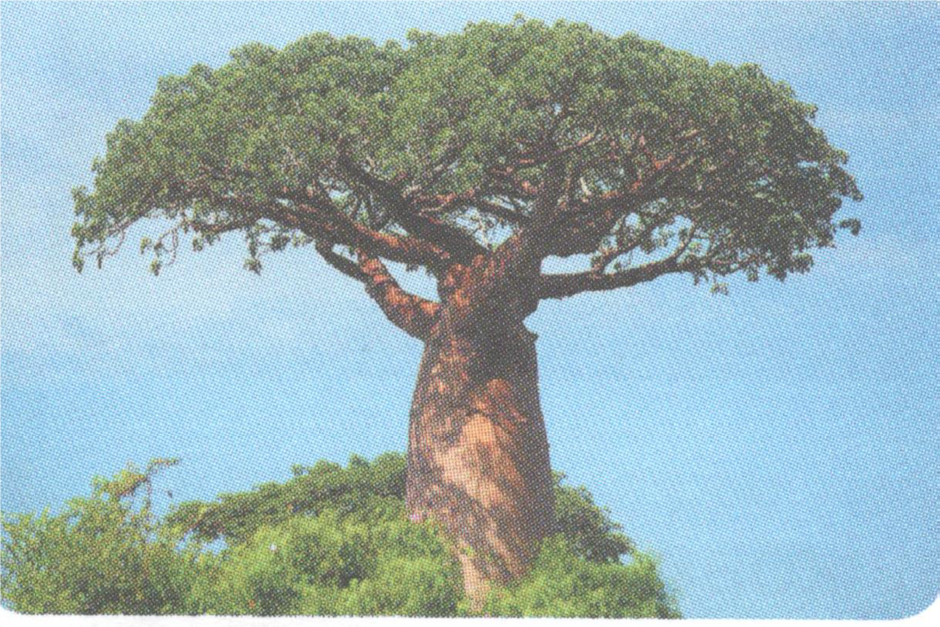 03004914-168f-940x627.png
