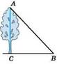 03004b32-7713-82x92.jpg