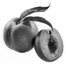03004bpc-18d1-286x290.png