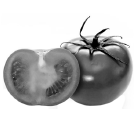 03004bpj-a04e-301x305.png