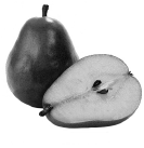 03004bpt-d172-303x312.png