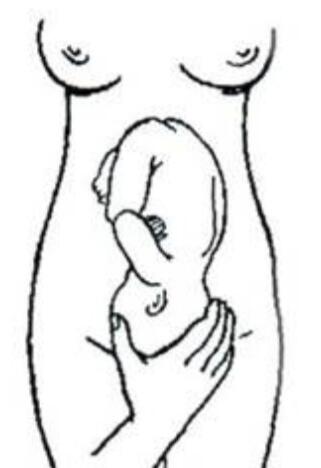 03004bsf-8ca0-321x468.jpg
