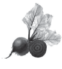 03004bxz-2ee9-664x733.png