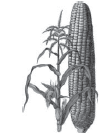 03004by6-71f4-670x827.png